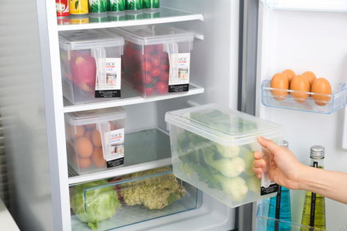 活性炭可以放冰箱冷冻层吗