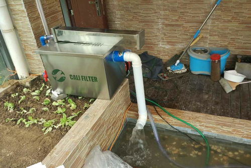 鱼池用活性炭哪种好