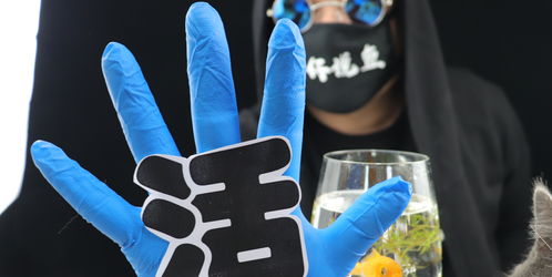 水族活性炭可以反复使用吗