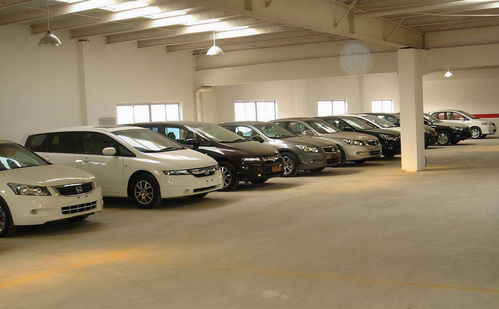 新车活性炭包放多久为好