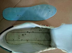 活性炭能吸鞋子里的臭味吗