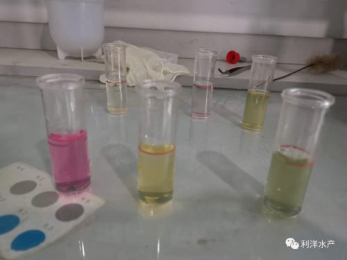 废活性炭的主要危害成分