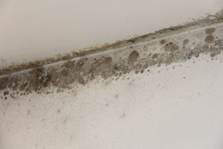 家里受潮发霉用活性炭