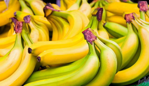 用活性炭种香蕉