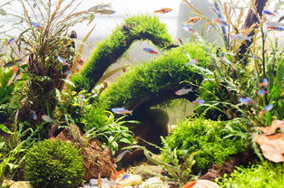 使用过的活性炭如何再次利用