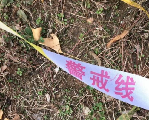 活性炭包裹死尸有什么作用