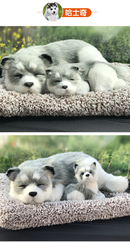 车用活性炭包哪个牌子好