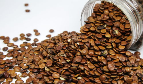 补染发根好还是染全头