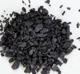 新房用活性炭好吗