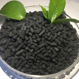 国内最大的活性炭生产厂家