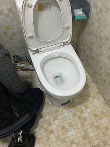 怎么用活性炭通马桶