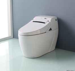 通马桶用什么工具最好