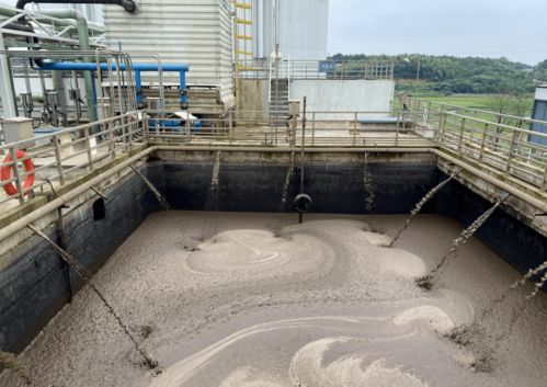 垃圾焚烧活性炭吸附作用