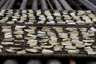 活性炭用久了太阳晒可以吗