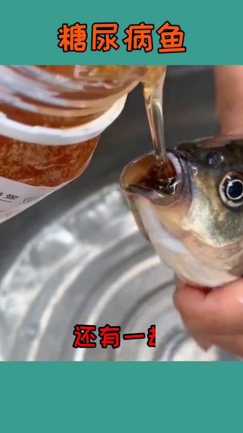 养鱼用活性炭对鱼有没有伤害