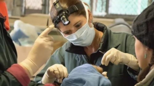 活性炭具有杀菌作用吗