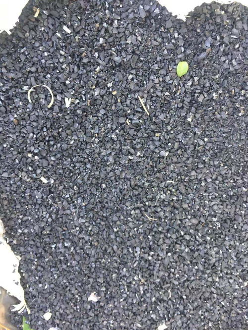 枞阳首创水务有限责任公司