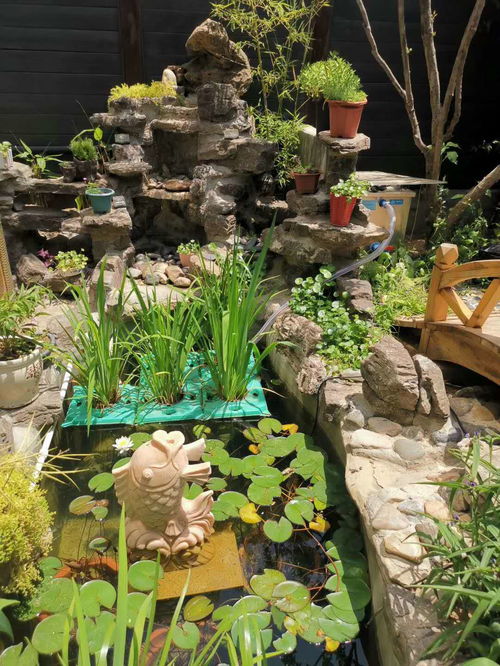 养鱼活性炭多久换一次