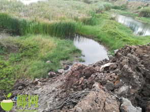 湿地填埋用活性炭