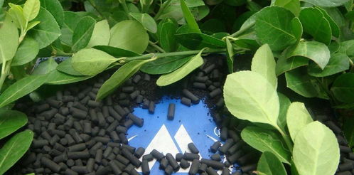 中国最大的活性炭公司