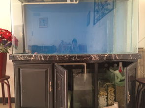 活性炭可以一直放在鱼缸里吗