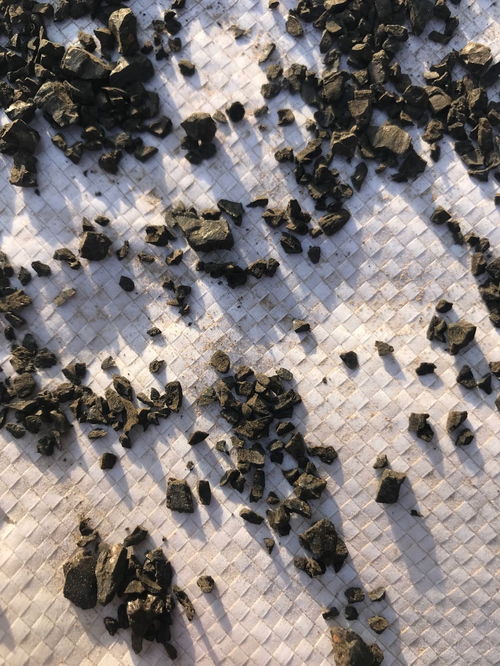 药用活性炭对人体有害吗