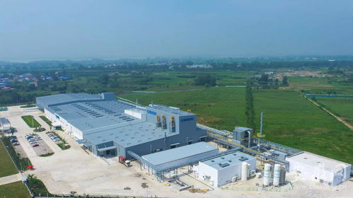 药用活性炭对人体有害吗