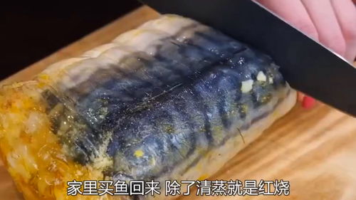 鱼缸里放活性炭起什么作用