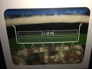 活性炭可以直接放入鱼缸吗