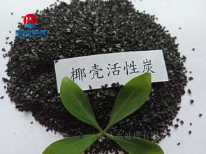 广东韩研活性炭科技股份有限公司