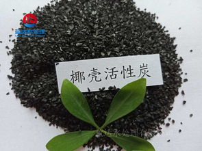 东莞活性炭公司