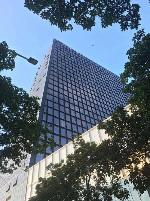 活性炭吸附后怎么处理