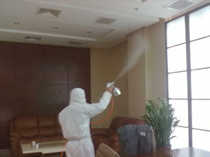 东莞活性炭除甲醛公司排名