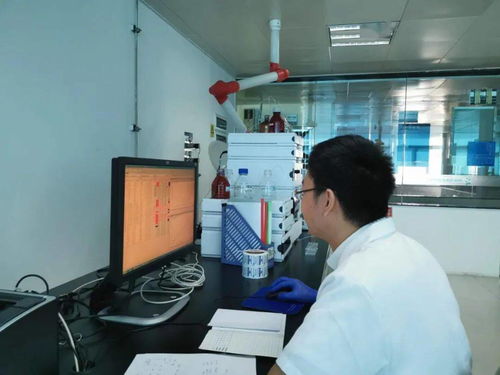 珠海活性炭检测单位有哪些