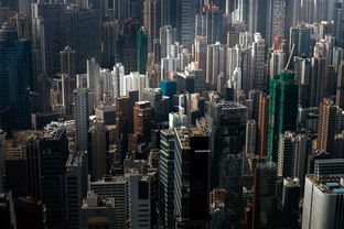 柱状活性炭的用途主要有哪些?