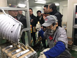 珠海废活性炭废物处理