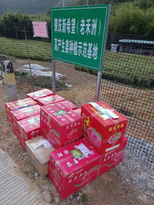 深圳原生态活性炭采购网