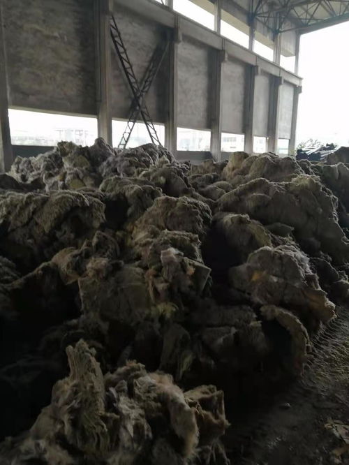 深圳活性炭固废处理厂家排名