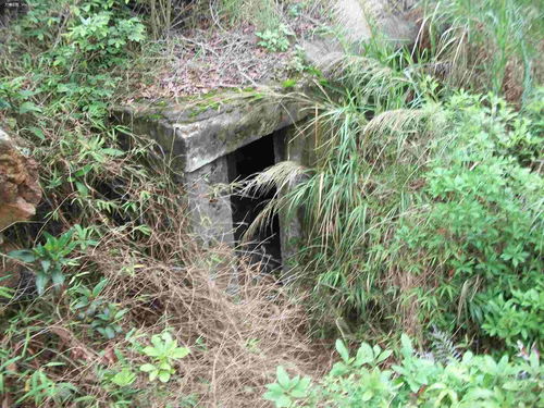 深圳原生态活性炭生产企业