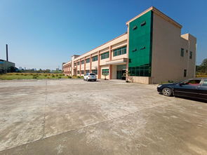 惠州市园洲镇活性炭棉