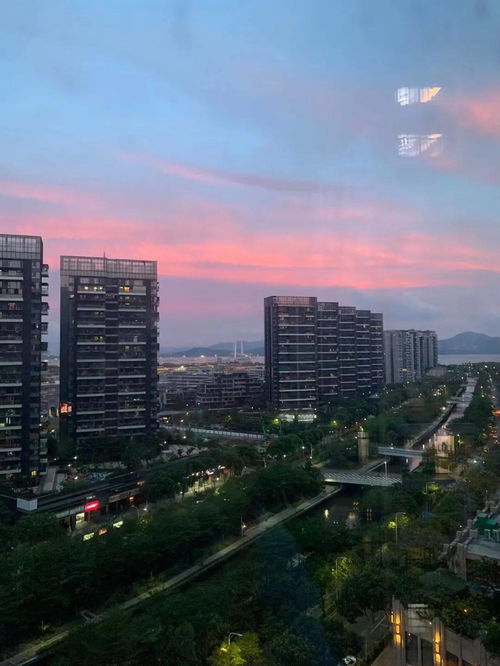 深圳粉末活性炭规格表图