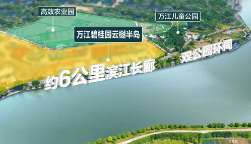 东莞废活性炭回收价格是多少?