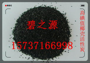珠海椰壳活性炭厂家