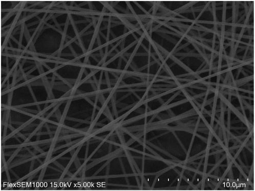 惠州碳纤维活性炭滤芯厂家