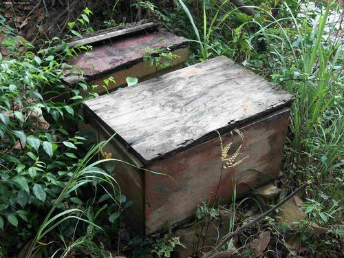 深圳市原生态科技有限公司
